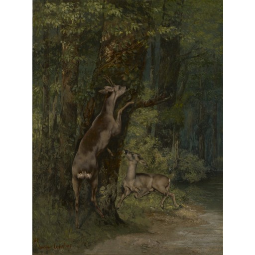 Tablou Cerb în pădure - Gustave Courbet