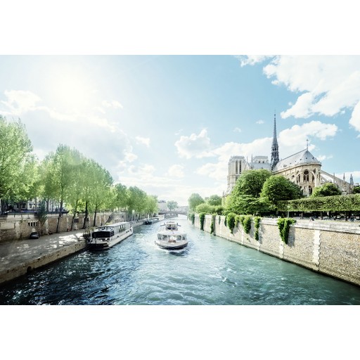 Tablou canvas Paris - Sena și Catedrala Notre Dame