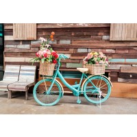 Tablou canvas Flori pe Bicicletă