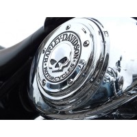 Tablou canvas - Harley Davidson Skull