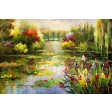 Grădina lui Claude Monet 