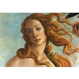 Tablou Venus - detaliu - Sandro Botticelli